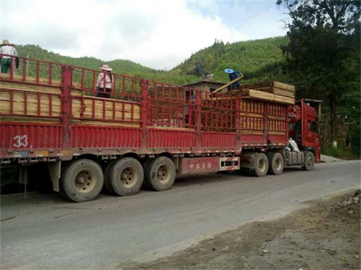 昆山到徐聞物流專線-昆山到徐聞貨運(yùn)部-昆山到徐聞貨運(yùn)公司